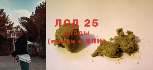 крисы Белоозёрский