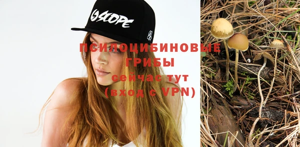 ешки Беломорск
