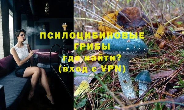 ешки Беломорск