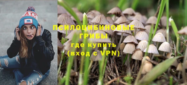 ALPHA-PVP Белокуриха