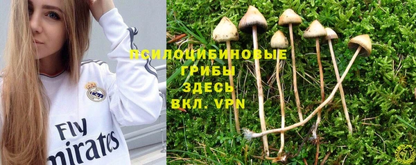 ALPHA-PVP Белокуриха