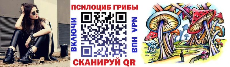 Купить закладки  Надым  Галлюциногенные грибы Psilocybe 